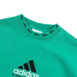 Adidas Pullover*EQT Washed Crew Equipment Green