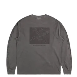 Carhartt WIP T-Shirts*L/S Terrestrial T-Shirt Black / Graphite