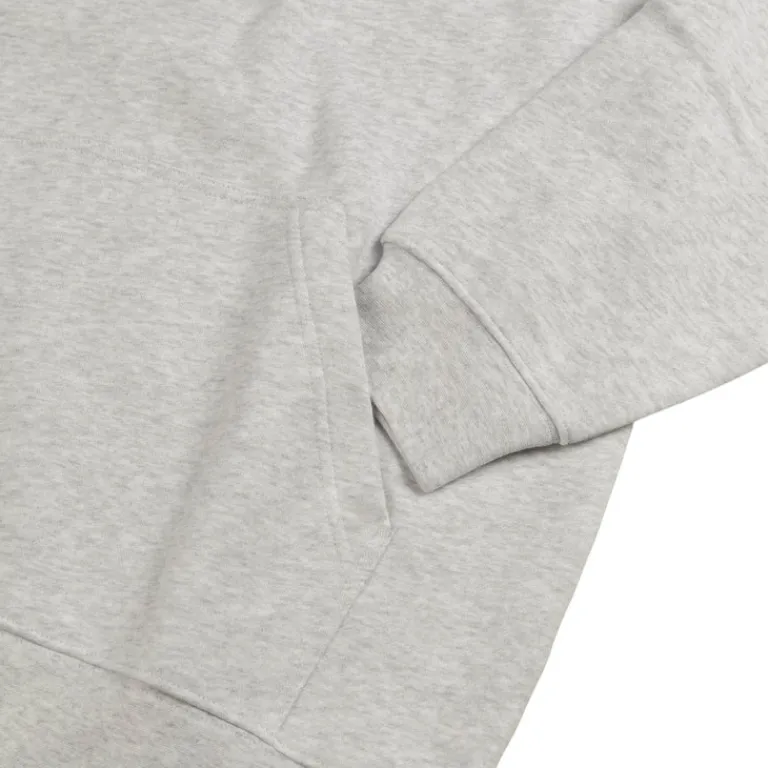 Dime Sweats À Capuche*Classic Fuzzy Hoodie Ash