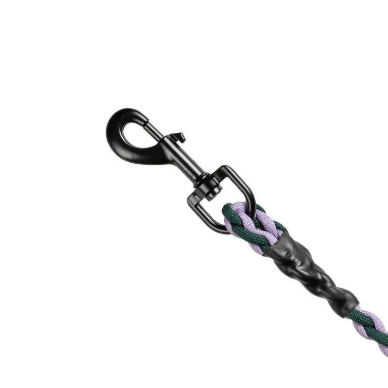 HAY Accessoires Pour Chiens*Dogs Leash Braided Lavender / Green