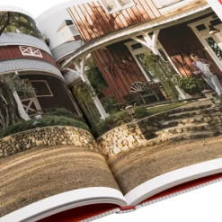 IDEA Alle Anzeigen|Livres Et Magazines*Buck Ellison Risk Multi