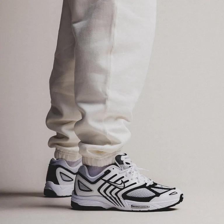 Nike Sneakers En Cuir|Sneakers Blancs*Air Pegasus 2005 White / Metallic Silver / Black