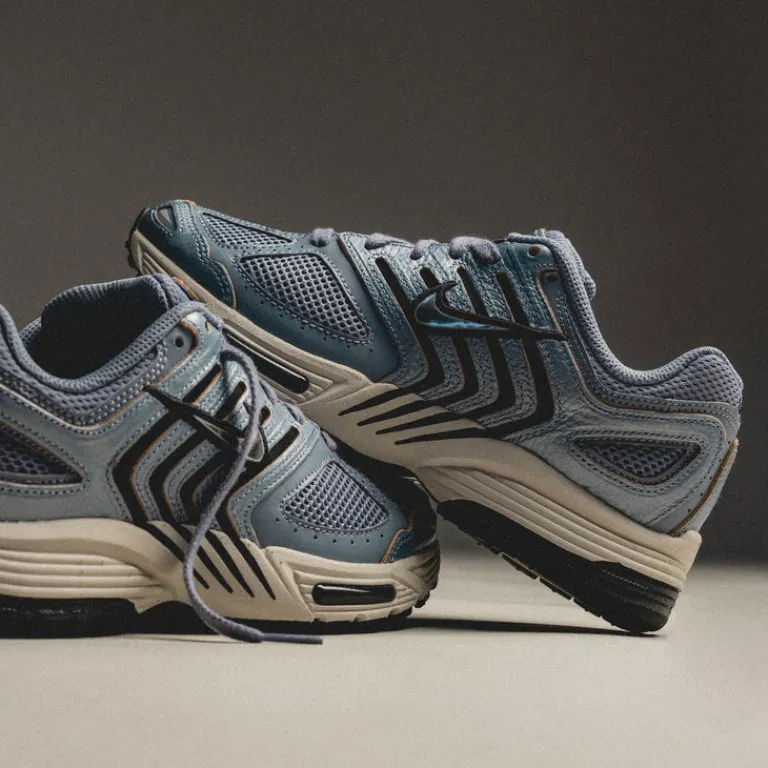 Nike Sneakers En Cuir|Chaussures De Running Retro*Wmns Air Pegasus 2005 C.O.R. Ashen Slate / Light Orewood Brown / Light Carbon / Chrome