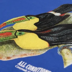 Nike T-Shirts*ACG Dri-Fit Toucan T-Shirt Game Royal