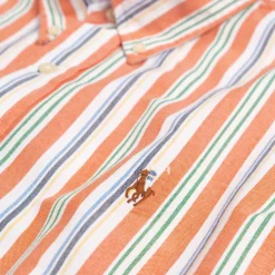Polo Ralph Lauren Chemises*Custom Fit Striped Oxford Shirt Orange / White Multi