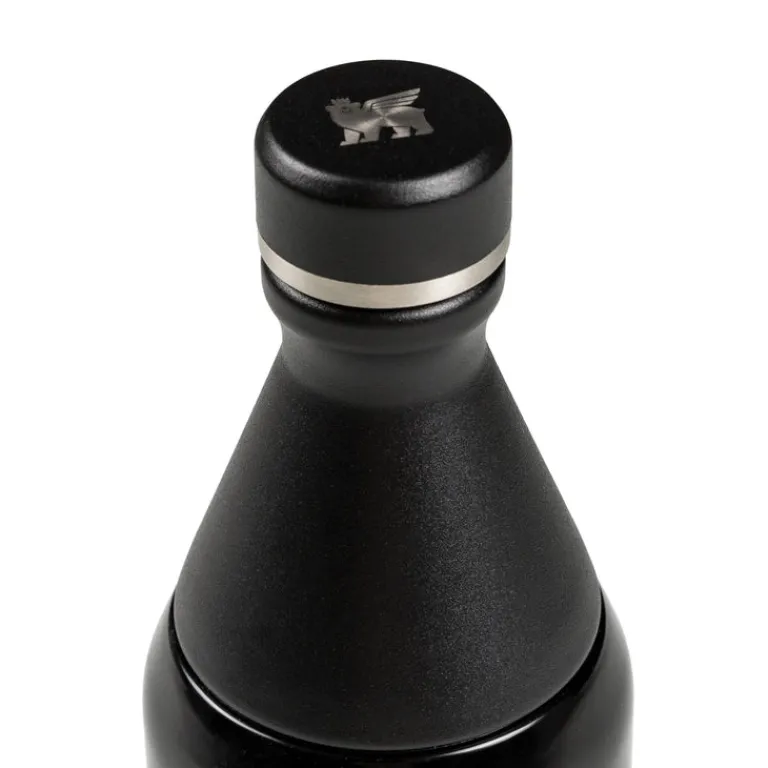 Stanley Gourdes*The All Day Slim Bottle 0.6L Black Gloss