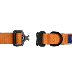 Trekk by Asphaltgold Alle Anzeigen|Accessoires Pour Chiens*Trekk Dog Collar Sunny Orange