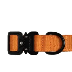 Trekk by Asphaltgold Alle Anzeigen|Accessoires Pour Chiens*Trekk Dog Collar Sunny Orange