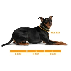 Trekk by Asphaltgold Alle Anzeigen|Accessoires Pour Chiens*Trekk Dog Collar Midnight Purple