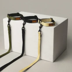 Trekk by Asphaltgold Alle Anzeigen|Accessoires Pour Chiens*Trekk Dog Collar Creme / Black