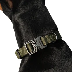 Trekk by Asphaltgold Alle Anzeigen|Accessoires Pour Chiens*Trekk Dog Collar Creme / Black