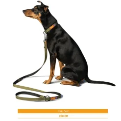 Trekk by Asphaltgold Alle Anzeigen|Accessoires Pour Chiens*Trekk Dog Leash Sunny Orange